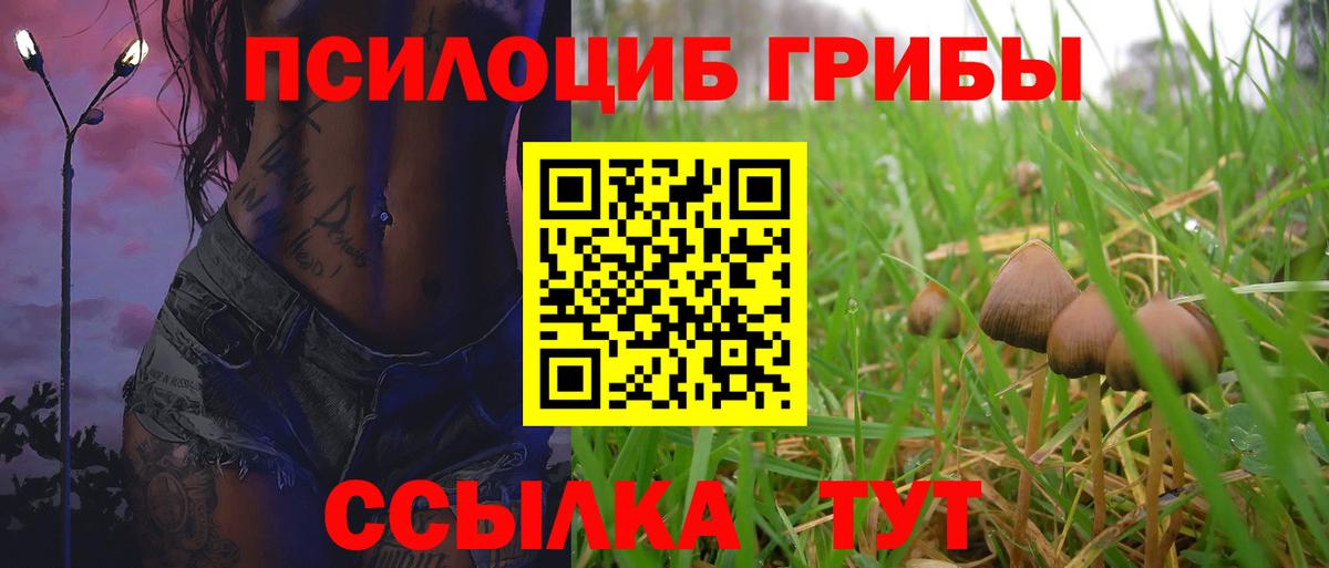 Псилоцибиновые грибы Magic Shrooms  Вход с VPN  Менделеевск  Псилоцибиновые грибы MAGIC MUSHROOMS 